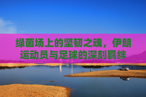 绿茵场上的坚韧之魂,伊朗运动员与足球的深刻羁绊