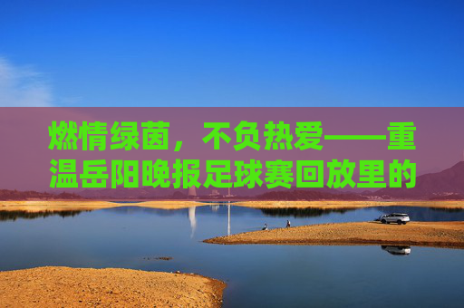 燃情绿茵，不负热爱——重温岳阳晚报足球赛回放里的热血青春