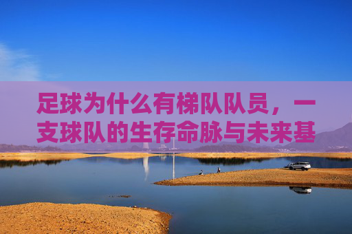 足球为什么有梯队队员,一支球队的生存命脉与未来基石