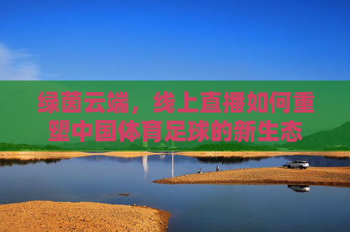 绿茵云端，线上直播如何重塑中国体育足球的新生态
