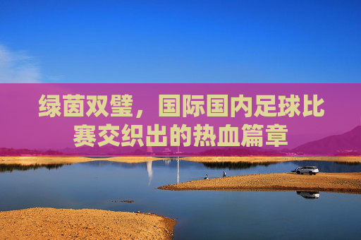 绿茵双璧,国际国内足球比赛交织出的热血篇章
