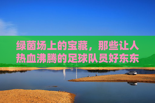绿茵场上的宝藏，那些让人热血沸腾的足球队员好东东