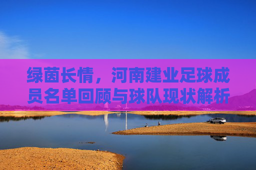 绿茵长情，河南建业足球成员名单回顾与球队现状解析