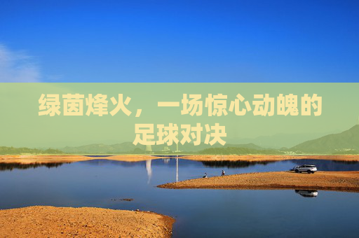 绿茵烽火，一场惊心动魄的足球对决