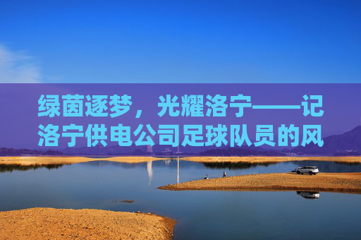 绿茵逐梦,光耀洛宁——记洛宁供电公司足球队员的风采