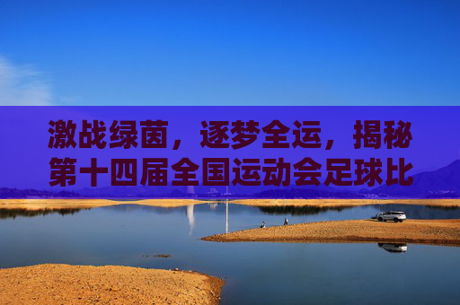 激战绿茵,逐梦全运,揭秘第十四届全国运动会足球比赛举办地