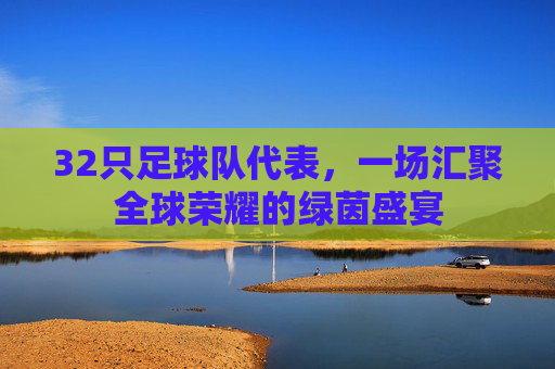 32只足球队代表,一场汇聚全球荣耀的绿茵盛宴
