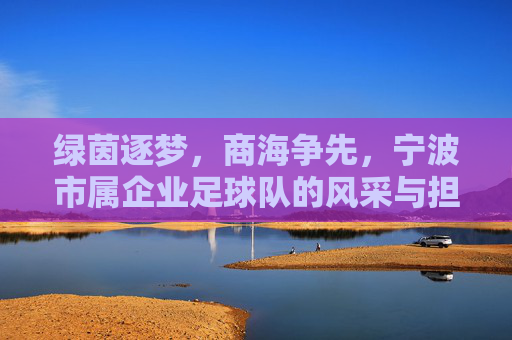 绿茵逐梦,商海争先,宁波市属企业足球队的风采与担当