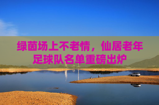 绿茵场上不老情,仙居老年足球队名单重磅出炉