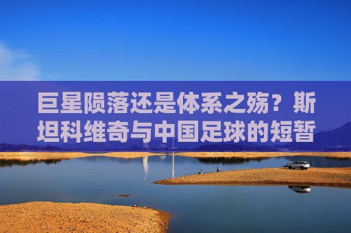 巨星陨落还是体系之殇？斯坦科维奇与中国足球的短暂交集