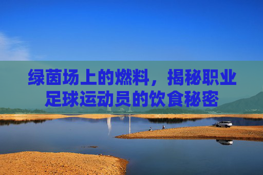 绿茵场上的燃料，揭秘职业足球运动员的饮食秘密