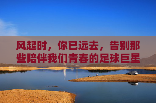 风起时，你已远去，告别那些陪伴我们青春的足球巨星