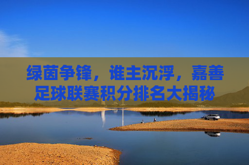 绿茵争锋，谁主沉浮，嘉善足球联赛积分排名大揭秘