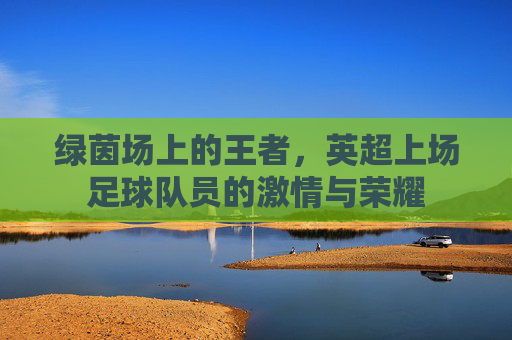 绿茵场上的王者，英超上场足球队员的激情与荣耀