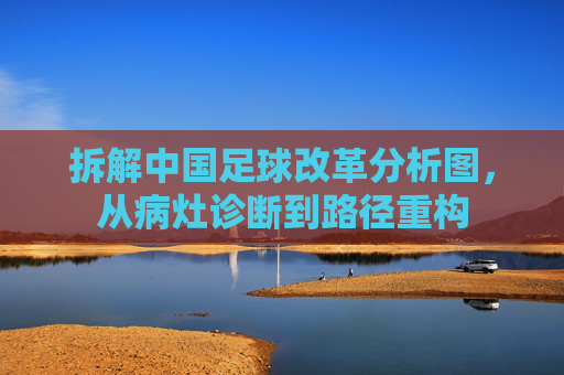拆解中国足球改革分析图,从病灶诊断到路径重构