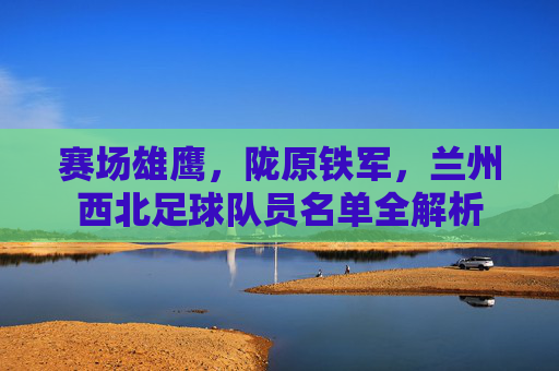 赛场雄鹰,陇原铁军,兰州西北足球队员名单全解析
