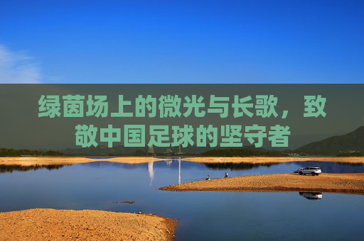 绿茵场上的微光与长歌，致敬中国足球的坚守者