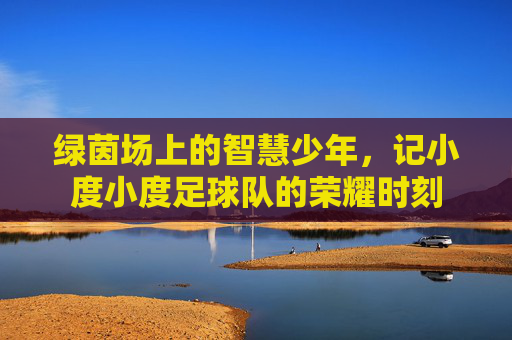 绿茵场上的智慧少年，记小度小度足球队的荣耀时刻