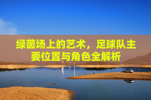 绿茵场上的艺术,足球队主要位置与角色全解析