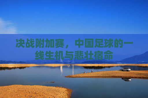 决战附加赛,中国足球的一线生机与悲壮宿命