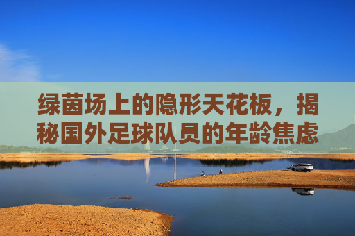 绿茵场上的隐形天花板,揭秘国外足球队员的年龄焦虑与极限挑战