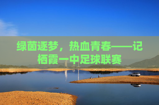 绿茵逐梦，热血青春——记栖霞一中足球联赛