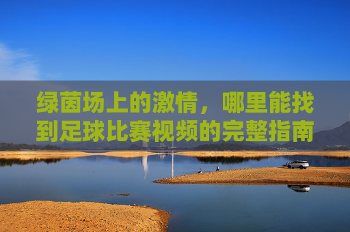 绿茵场上的激情，哪里能找到足球比赛视频的完整指南