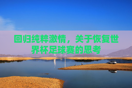回归纯粹激情,关于恢复世界杯足球赛的思考