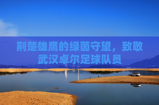 荆楚雄鹰的绿茵守望,致敬武汉卓尔足球队员
