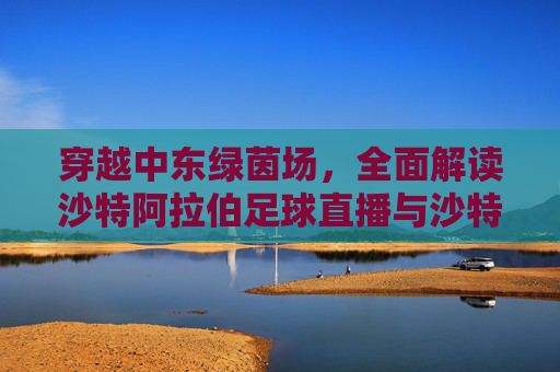 穿越中东绿茵场，全面解读沙特阿拉伯足球直播与沙特联赛的魅力