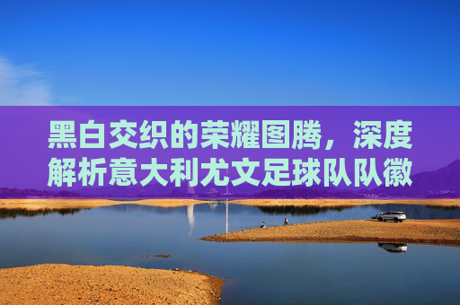 黑白交织的荣耀图腾,深度解析意大利尤文足球队队徽