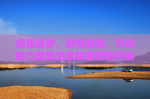 绿茵逐梦，激情碰撞，万和助力莫旗足球联赛燃情开赛