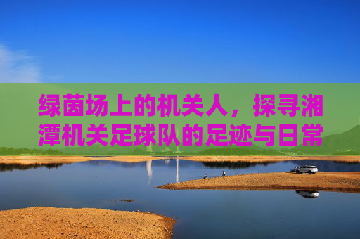 绿茵场上的机关人,探寻湘潭机关足球队的足迹与日常