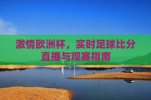 激情欧洲杯，实时足球比分直播与观赛指南
