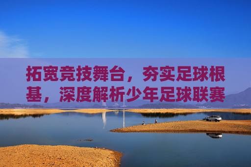 拓宽竞技舞台，夯实足球根基，深度解析少年足球联赛分区赛制