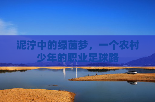 泥泞中的绿茵梦,一个农村少年的职业足球路