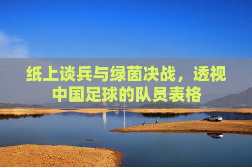 纸上谈兵与绿茵决战,透视中国足球的队员表格