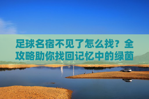 足球名宿不见了怎么找?全攻略助你找回记忆中的绿茵传奇