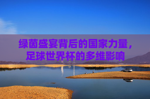 绿茵盛宴背后的国家力量,足球世界杯的多维影响