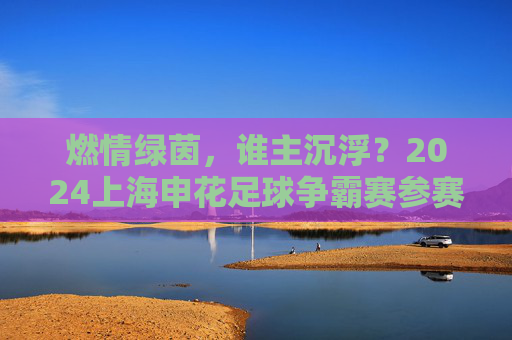 燃情绿茵,谁主沉浮?2024上海申花足球争霸赛参赛名单正式公布