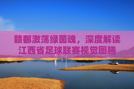 赣鄱激荡绿茵魂，深度解读江西省足球联赛视觉图腾