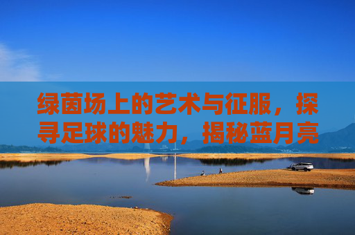 绿茵场上的艺术与征服，探寻足球的魅力，揭秘蓝月亮曼城究竟是谁