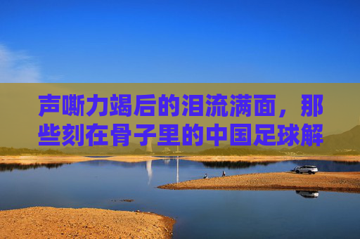 声嘶力竭后的泪流满面，那些刻在骨子里的中国足球解说词