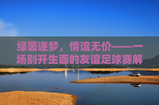 绿茵逐梦,情谊无价——一场别开生面的友谊足球赛解说词