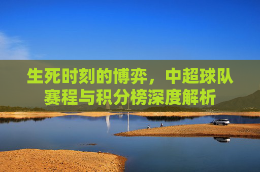 生死时刻的博弈，中超球队赛程与积分榜深度解析