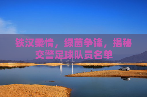 铁汉柔情,绿茵争锋,揭秘交警足球队员名单