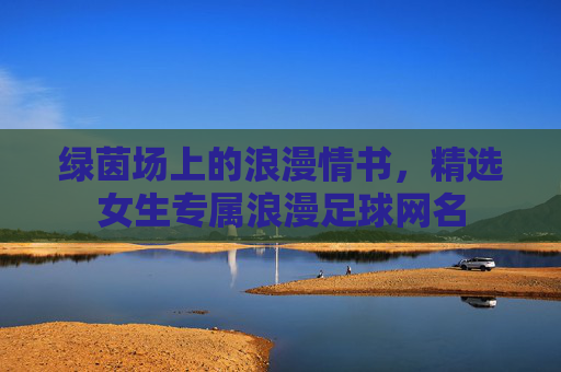 绿茵场上的浪漫情书,精选女生专属浪漫足球网名