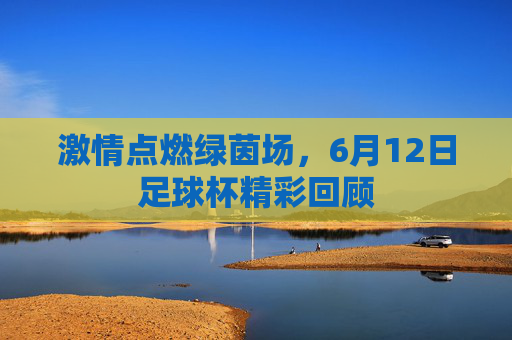 激情点燃绿茵场，6月12日足球杯精彩回顾