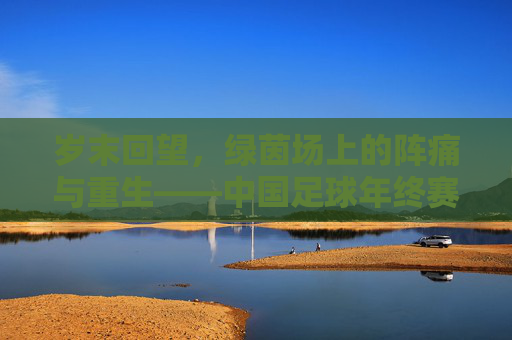 岁末回望，绿茵场上的阵痛与重生——中国足球年终赛综述