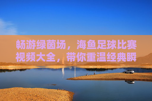 畅游绿茵场，海鱼足球比赛视频大全，带你重温经典瞬间